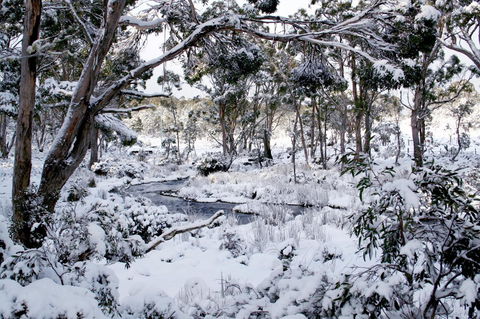 Cradle Mountain Love Shack - Goulburn Accommodation 11