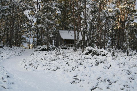 Cradle Mountain Love Shack - Goulburn Accommodation 7