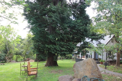 Olinda Country Cottages - Goulburn Accommodation 0