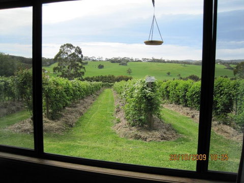 Pennyroyal Raspberry Farm & Cidery - Goulburn Accommodation 0