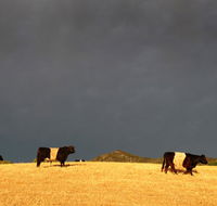 Peppertree Hill - Goulburn Accommodation