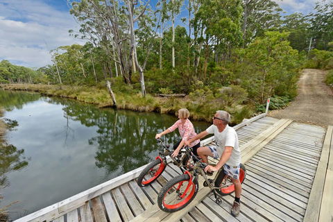 Saintys Creek Cottage - Goulburn Accommodation 2