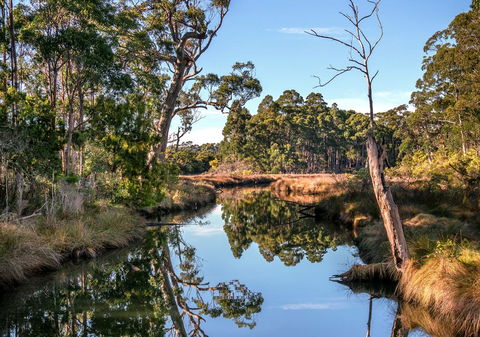 Saintys Creek Cottage - Goulburn Accommodation 3