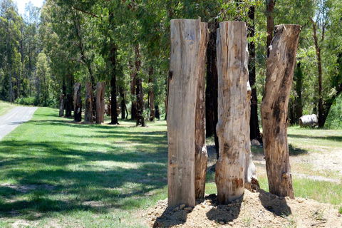 Saladin Lodge - Goulburn Accommodation 2