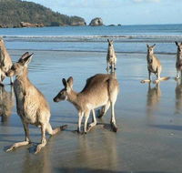 Seaforth Holiday Units - Goulburn Accommodation