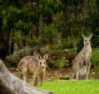 Secura Lifestyle Countryside Kalaru - Goulburn Accommodation