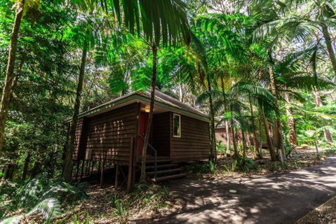 Songbirds Rainforest Retreat - Goulburn Accommodation 2