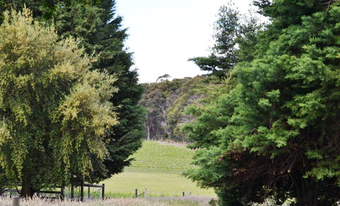 Springhill Winery - Goulburn Accommodation 1
