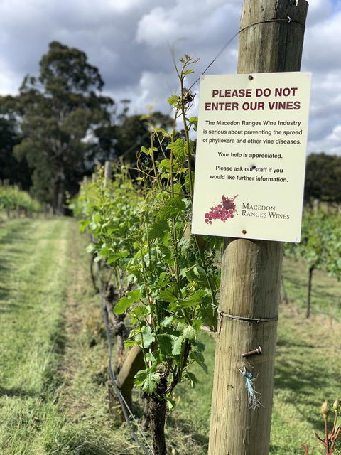 Springhill Winery - Goulburn Accommodation 3