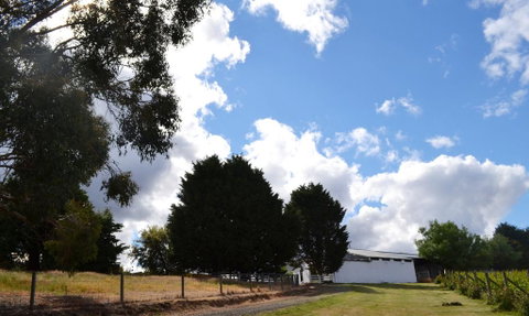 Springhill Winery - Goulburn Accommodation 2