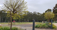 Book Lebrina Accommodation Vacations Goulburn Accommodation Goulburn Accommodation