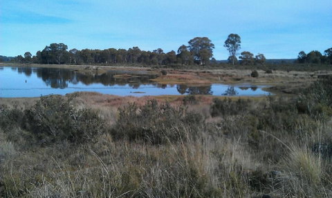 Highland Cabins And Cottages At Bronte Park - Goulburn Accommodation 3