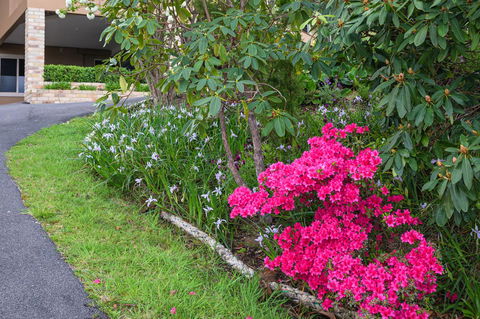 Maria Views Bed & Breakfast - Goulburn Accommodation 2