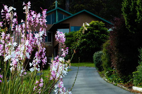 Maria Views Bed & Breakfast - Goulburn Accommodation 6