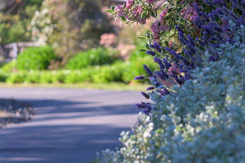 Maria Views Bed & Breakfast - Goulburn Accommodation 3