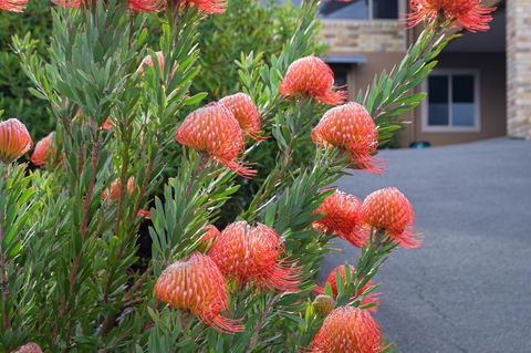 Maria Views Bed & Breakfast - Goulburn Accommodation 1