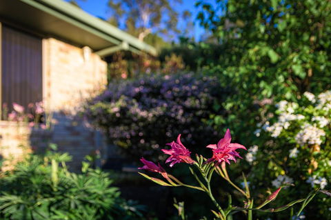 Maria Views Bed & Breakfast - Goulburn Accommodation 4