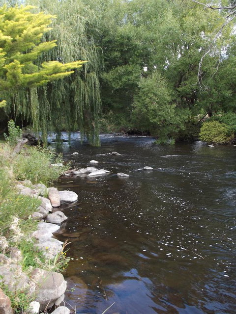 Blue Wren Riverside Cottage - Goulburn Accommodation 7