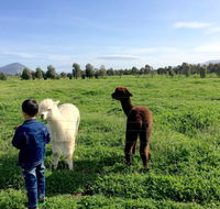 Taras Richmond Farmstay - Goulburn Accommodation