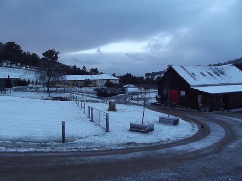 Eden Orchard & Farmstay - Goulburn Accommodation 23