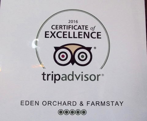 Eden Orchard & Farmstay - Goulburn Accommodation 28