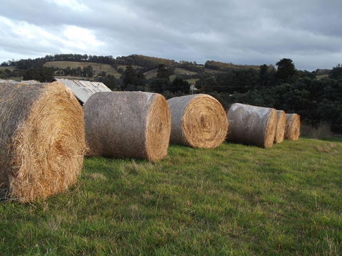 Eden Orchard & Farmstay - Goulburn Accommodation 35