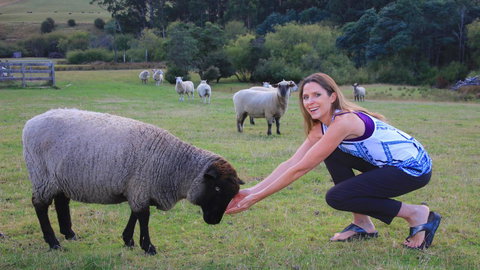 Ashdowns Of Dover - Goulburn Accommodation 26