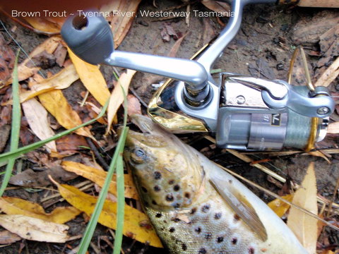 Platypus Playground Riverside Cottage - Goulburn Accommodation 20