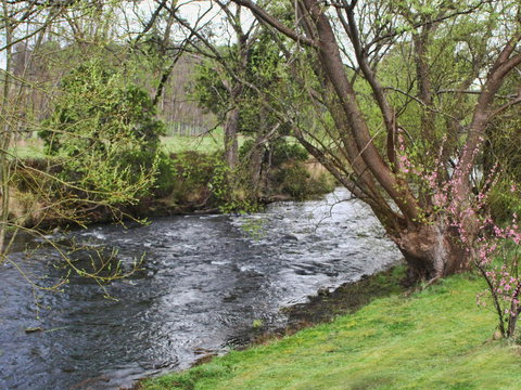 Platypus Playground Riverside Cottage - Goulburn Accommodation 22