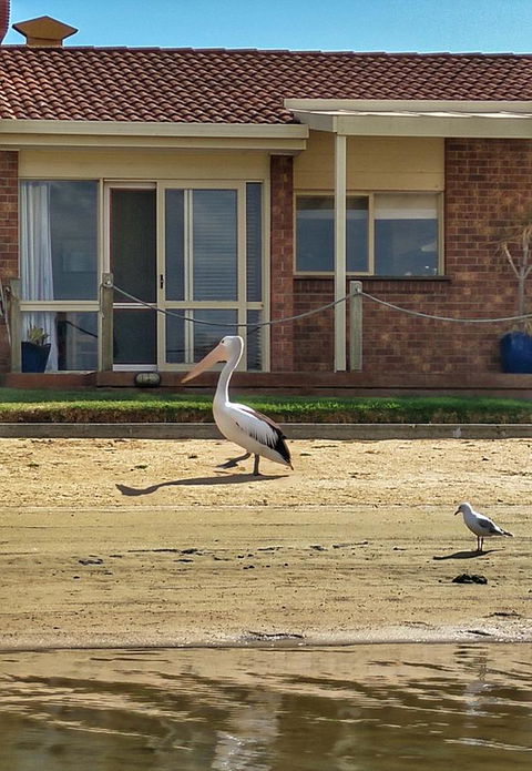 Waterfront Retreat - Goulburn Accommodation 25