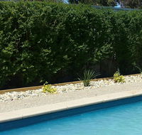 Robinvale Bridge Motel - Goulburn Accommodation