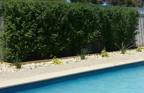 Robinvale Bridge Motel - Goulburn Accommodation 0