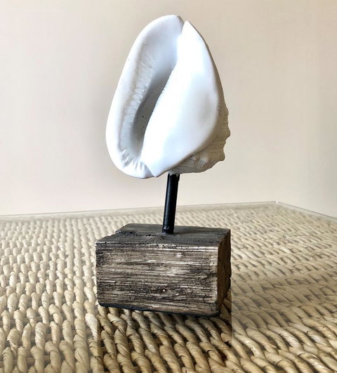 Sea Shells On Banyan Apartment - Goulburn Accommodation 9