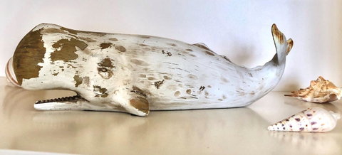 Sea Shells On Banyan Apartment - Goulburn Accommodation 4