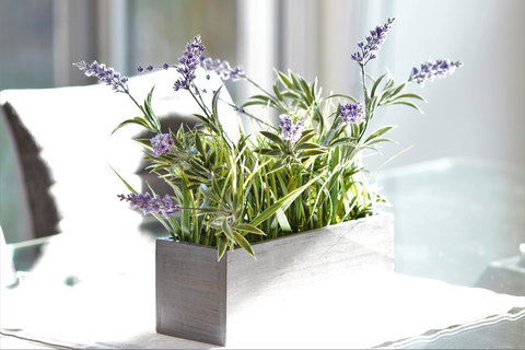 Tamara Temptation - Goulburn Accommodation 23