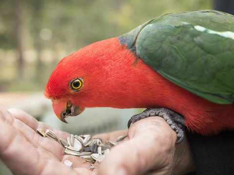 Gipsy Point Lodge & Cottages - Goulburn Accommodation 17