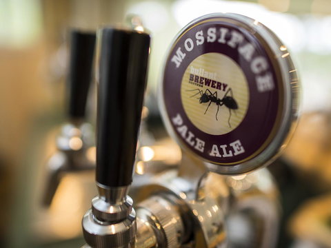 Gipsy Point Lodge & Cottages - Goulburn Accommodation 16