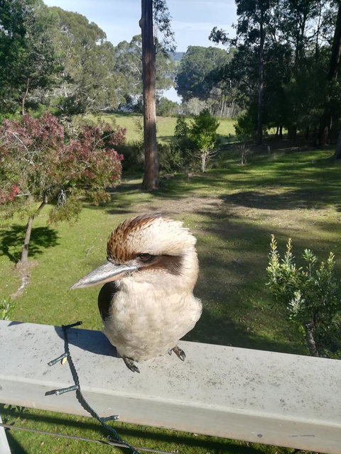 Gipsy Point Lodge & Cottages - Goulburn Accommodation 8