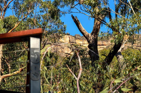 Blue Ridge Retreat - Goulburn Accommodation 14