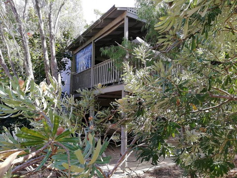 The Treehouse In Dawesville - Goulburn Accommodation 2