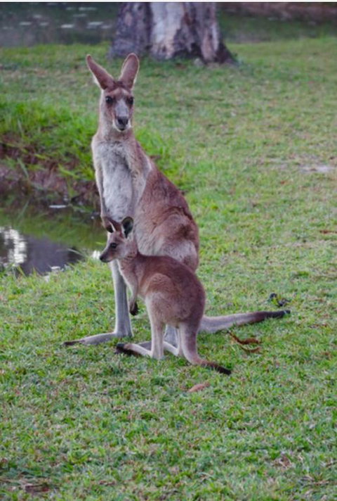 The Zen Den Adults Only - Goulburn Accommodation 3