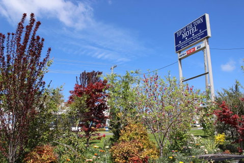 Top Of The Town Motel - Goulburn Accommodation 1