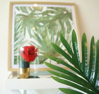 Tropical Delight 1 bedroom apt - Goulburn Accommodation