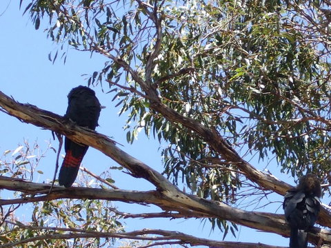 Wanderers Rest Of Kangaroo Island - Goulburn Accommodation 2