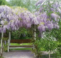 Amelina Cottages - Goulburn Accommodation