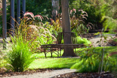 Blazing Stump Motel & Suites - Goulburn Accommodation 35
