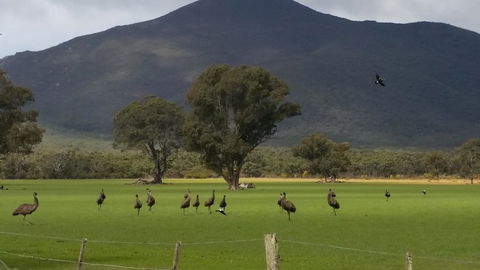 Corrugated Cottage - Goulburn Accommodation 23