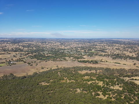 Corrugated Cottage - Goulburn Accommodation 24