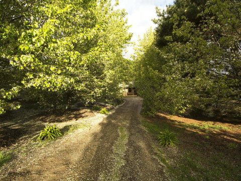 Angel's Rest - Goulburn Accommodation 0