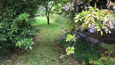 Lorelei Bed & Breakfast - Goulburn Accommodation 10